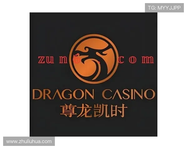 最全指南：尊龙凯时官方网页的使用技巧与 FAQs